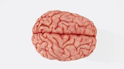 Beyine en çok zararı olan besinler açıklandı!